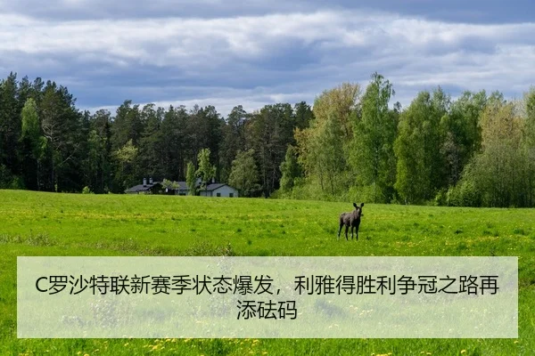 C罗沙特联新赛季状态爆发，利雅得胜利争冠之路再添砝码